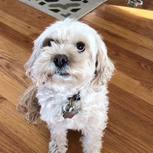 Meet your Posher, Marisa